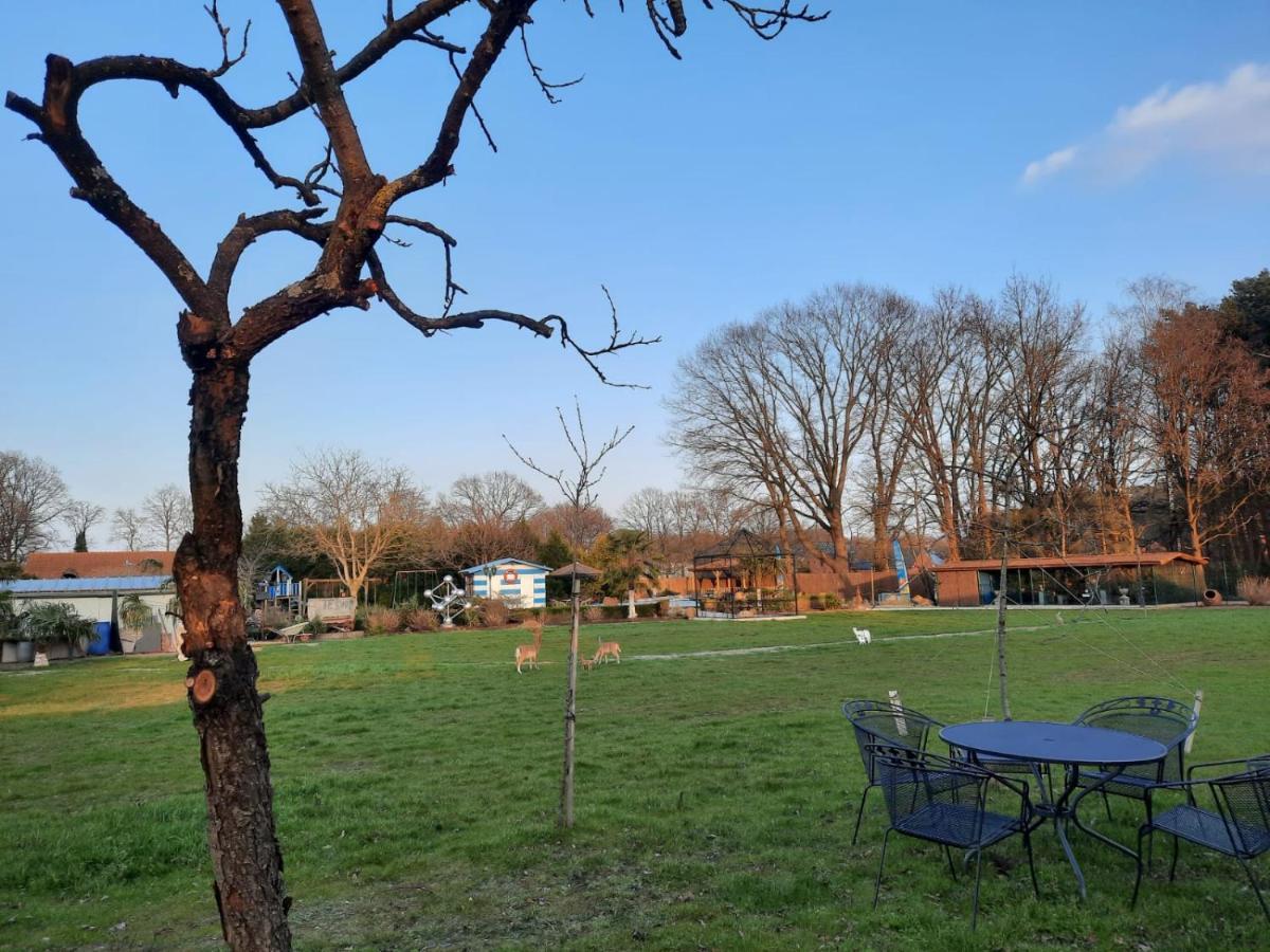 B&B Casa Roman & Vakantiewoning Voor 1 Pers Tot Max 32 Personen Zonhoven ภายนอก รูปภาพ