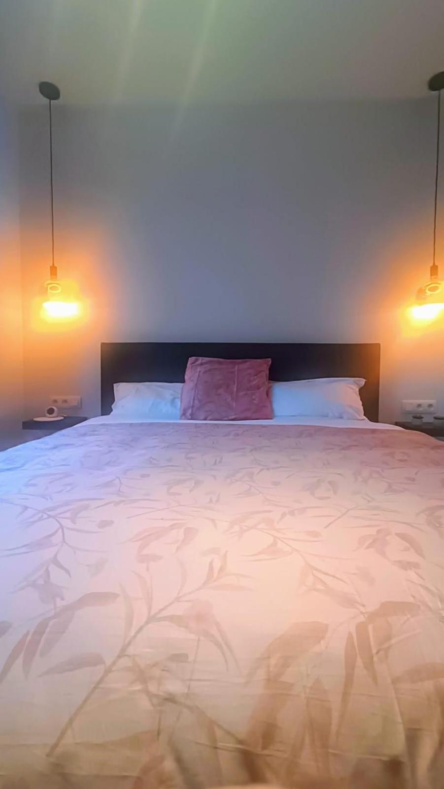 B&B Casa Roman & Vakantiewoning Voor 1 Pers Tot Max 32 Personen Zonhoven ภายนอก รูปภาพ