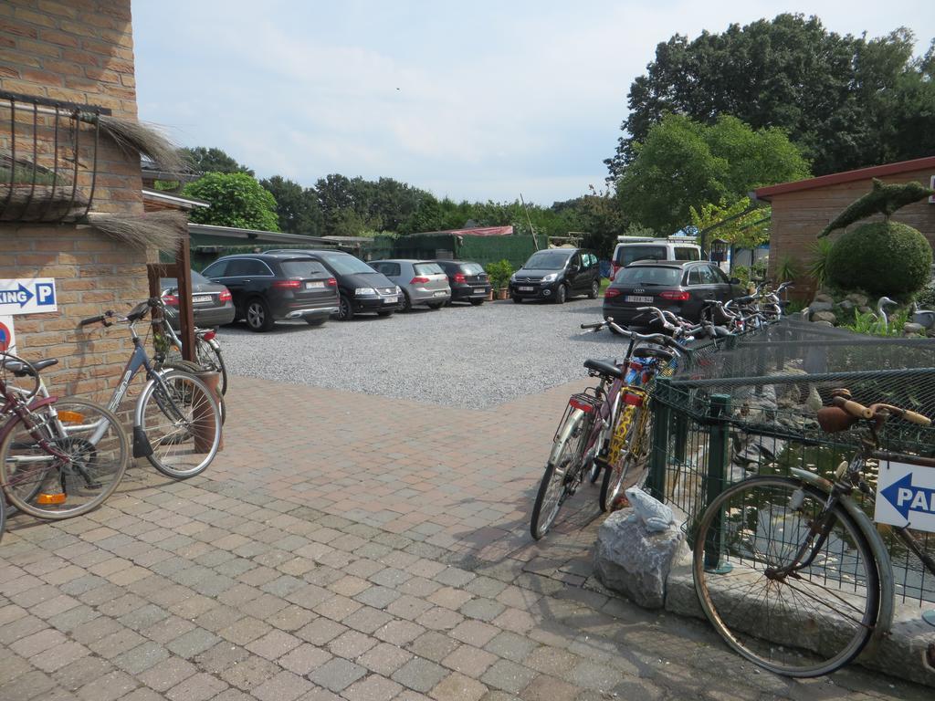 B&B Casa Roman & Vakantiewoning Voor 1 Pers Tot Max 32 Personen Zonhoven ภายนอก รูปภาพ